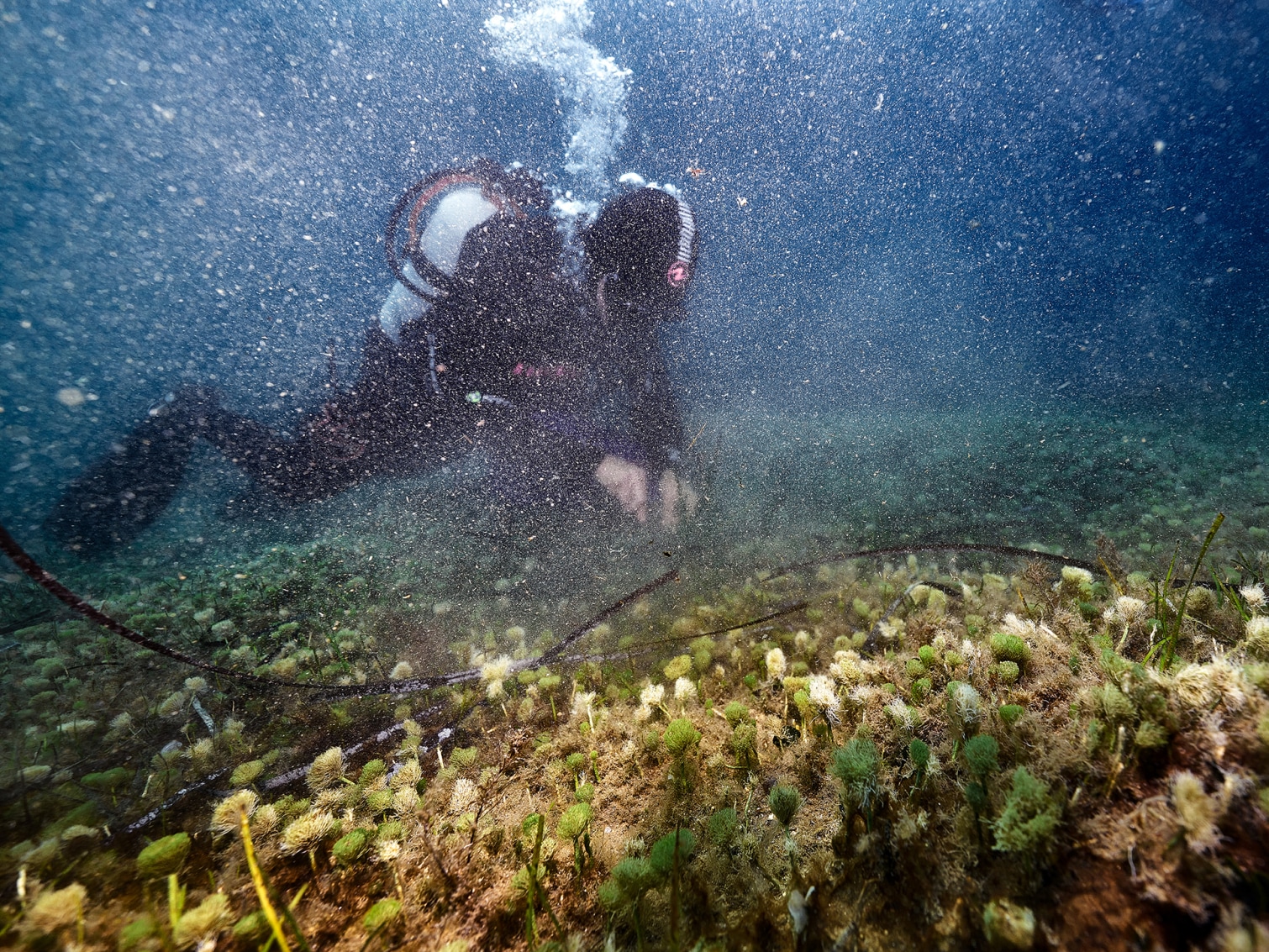 LuisaViaRoma & LVRSustainable’s #myEIB: Sardinia - OXYGEN FOR OXYGEN 3 LuisaViaRoma & LVRSustainable’s #myEIB: Sardinia - OXYGEN FOR OXYGEN 3