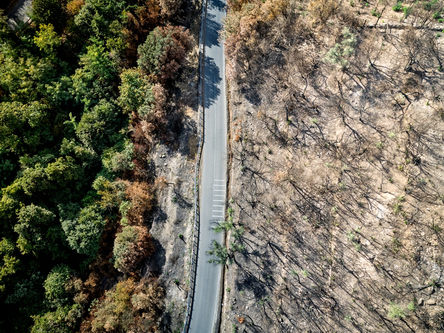 LuisaViaRoma & LVRSustainable’s #myEIB: Sardinia - A THIN LINE BETWEEN LIFE AND DEATH LuisaViaRoma & LVRSustainable’s #myEIB: Sardinia - A THIN LINE BETWEEN LIFE AND DEATH