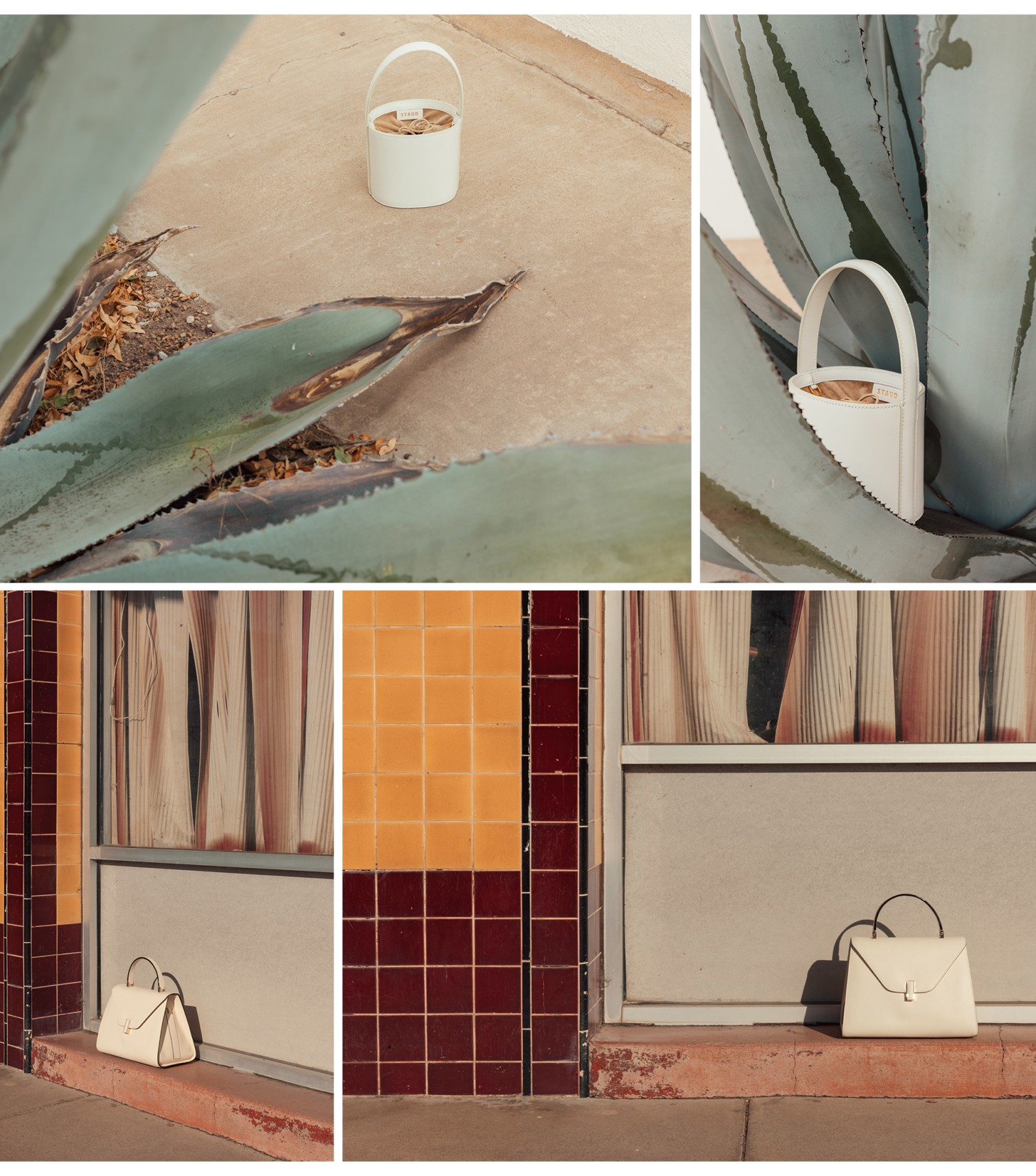 Desert Days: A Peek Into The New Season - 6