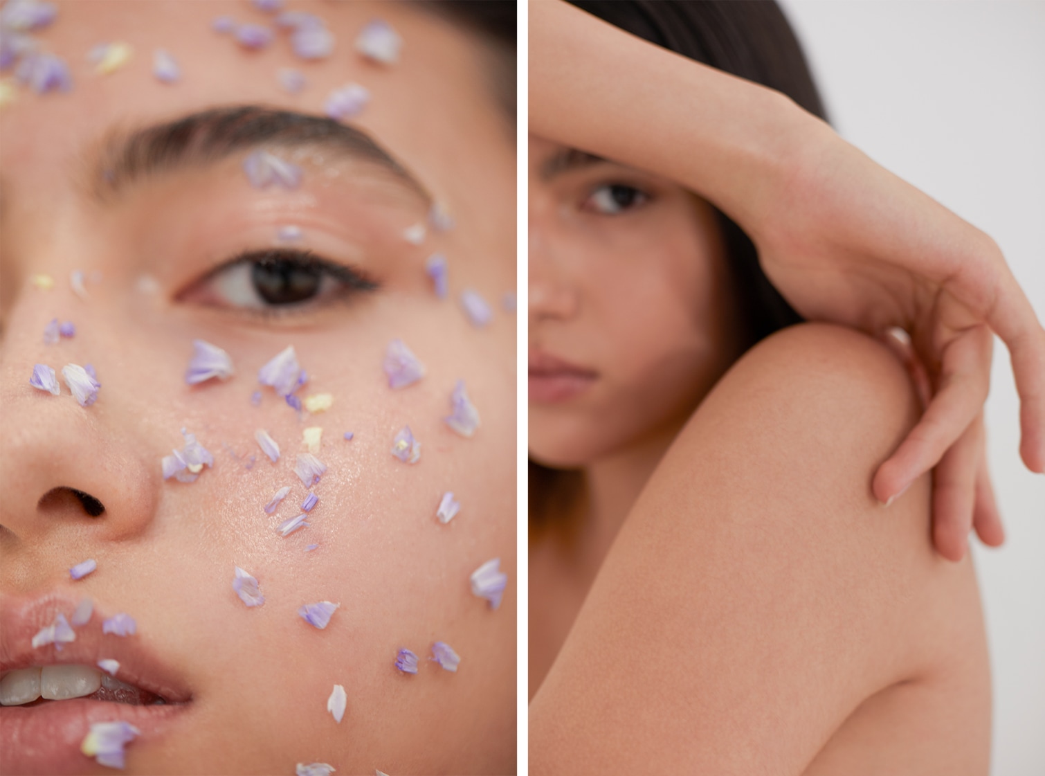 Beauté ensoleillée - 6