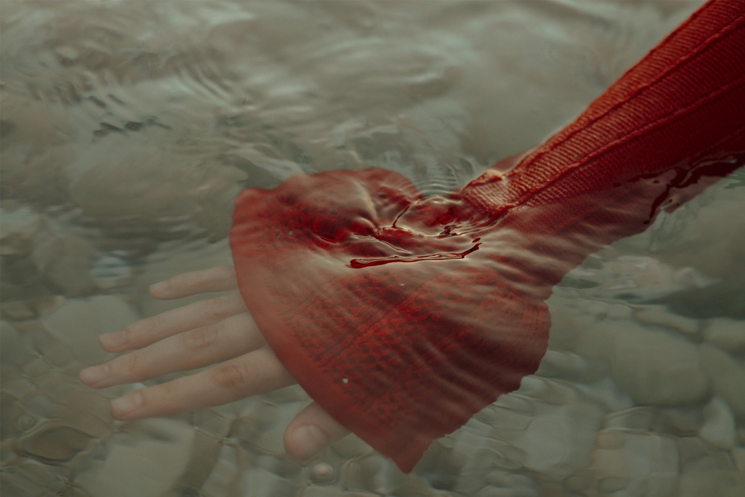 Fashion Frontier: Flicka Elisa in Albania - 6