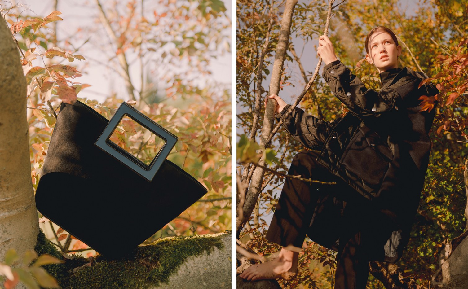 Now Launching: LVRSustainable - 10