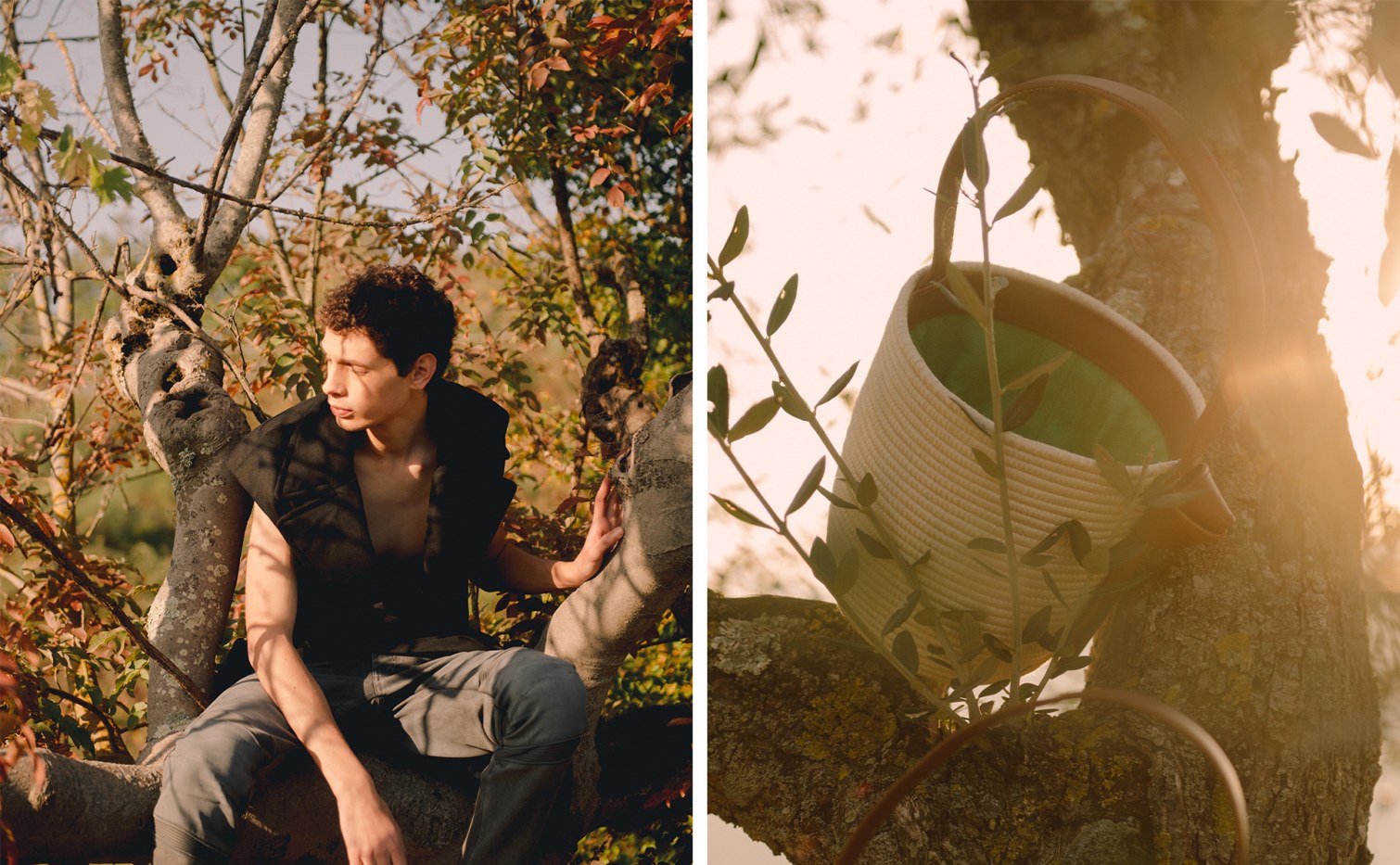 Now Launching: LVRSustainable - 9