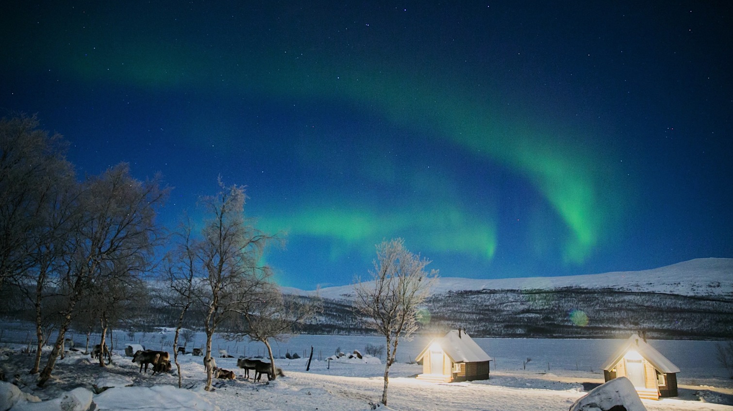 Into the Wild con LVR x Colmar Originals - 6