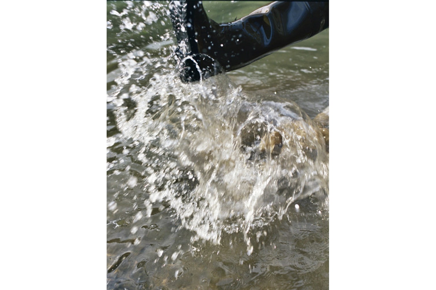 Le confinement vu par nos photographes - 17