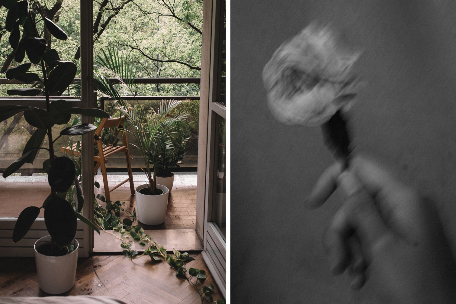 Le confinement vu par nos photographes - 7