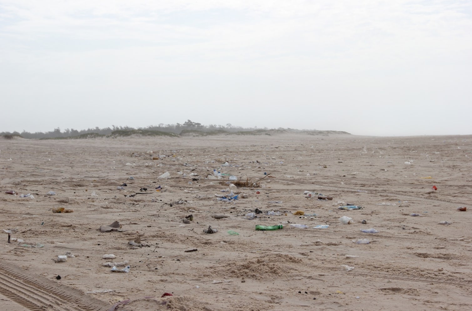 Extreme E x LVRSustainable - 2