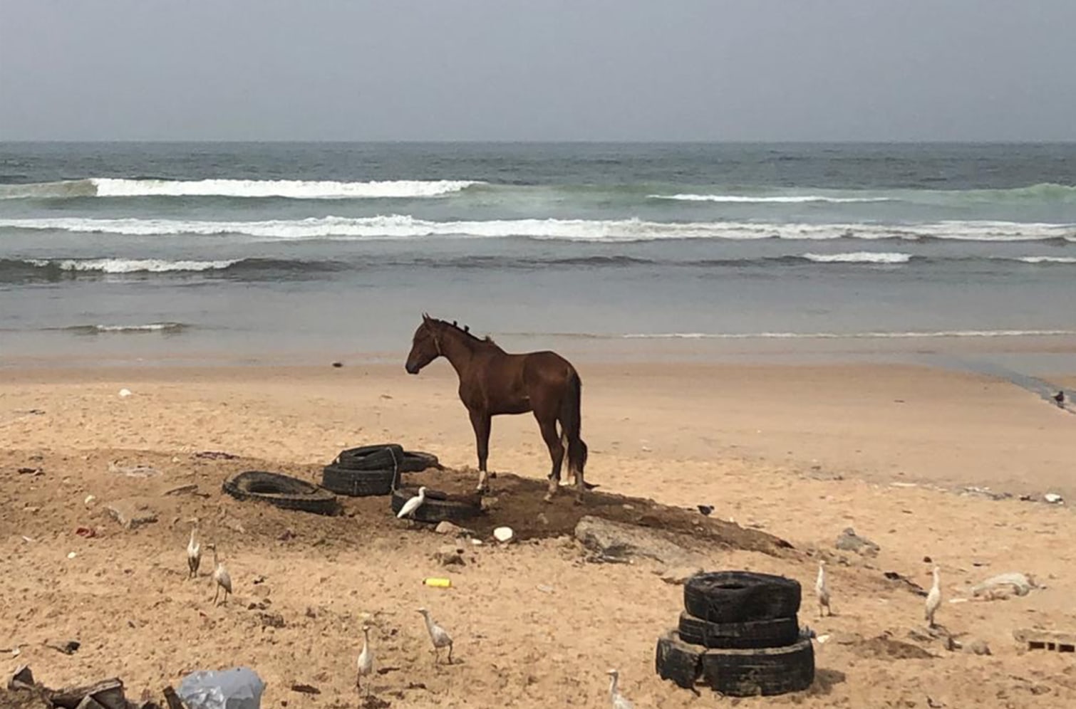 Extreme E x LVRSustainable - 3