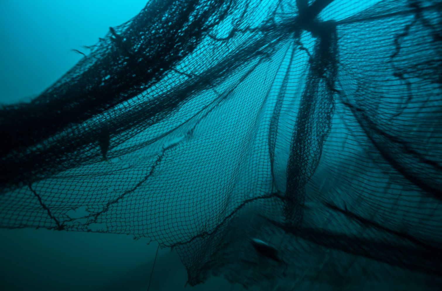 Extreme E x LVRSustainable - 4