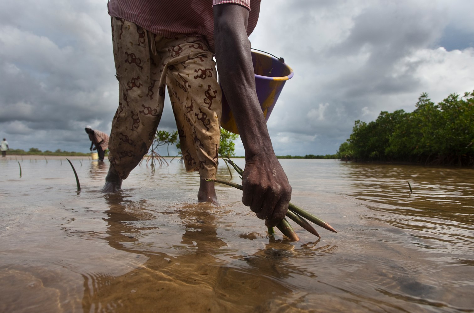 Extreme E x LVRSustainable - 5