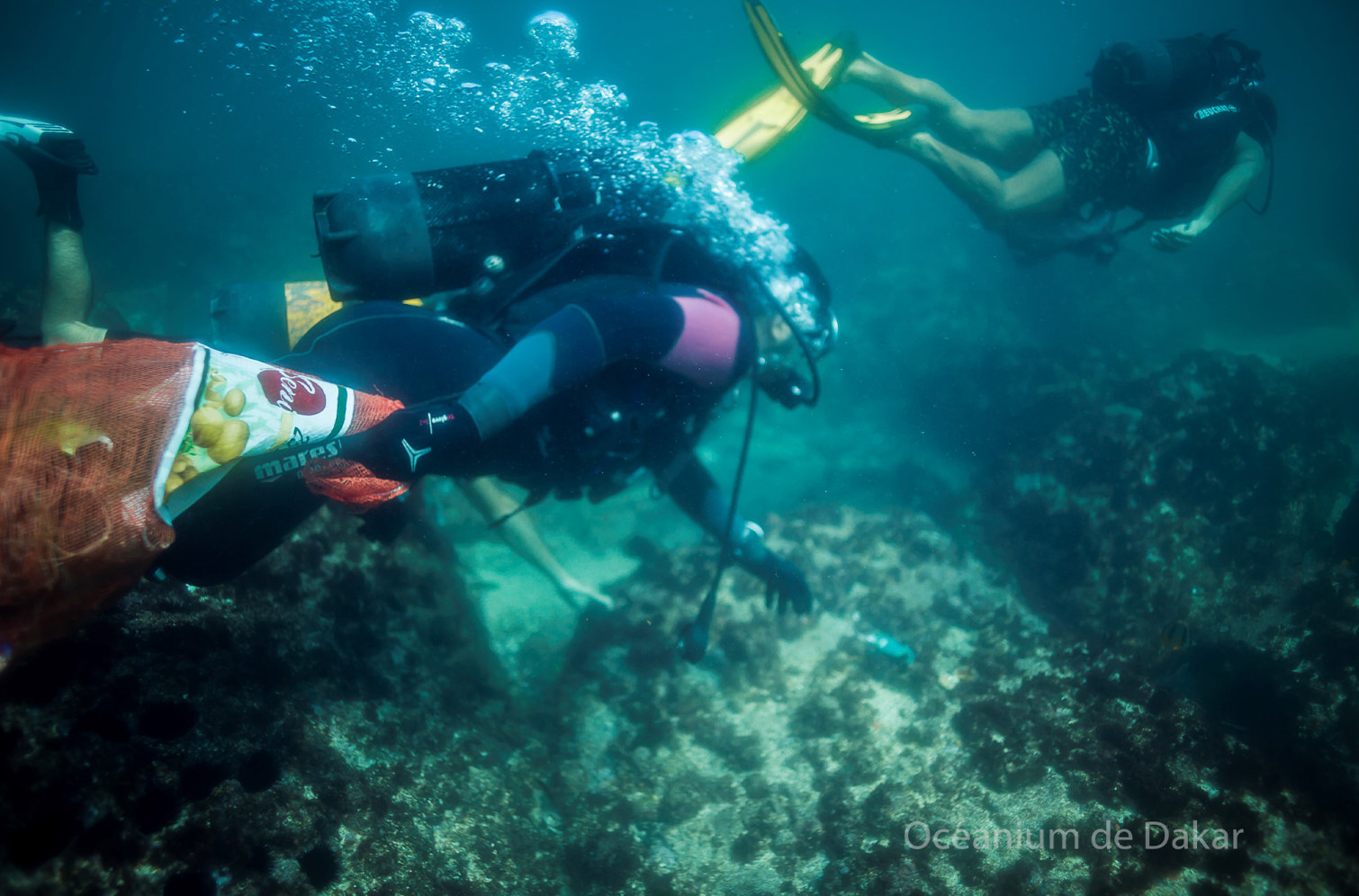 Extreme E x LVRSustainable - 6