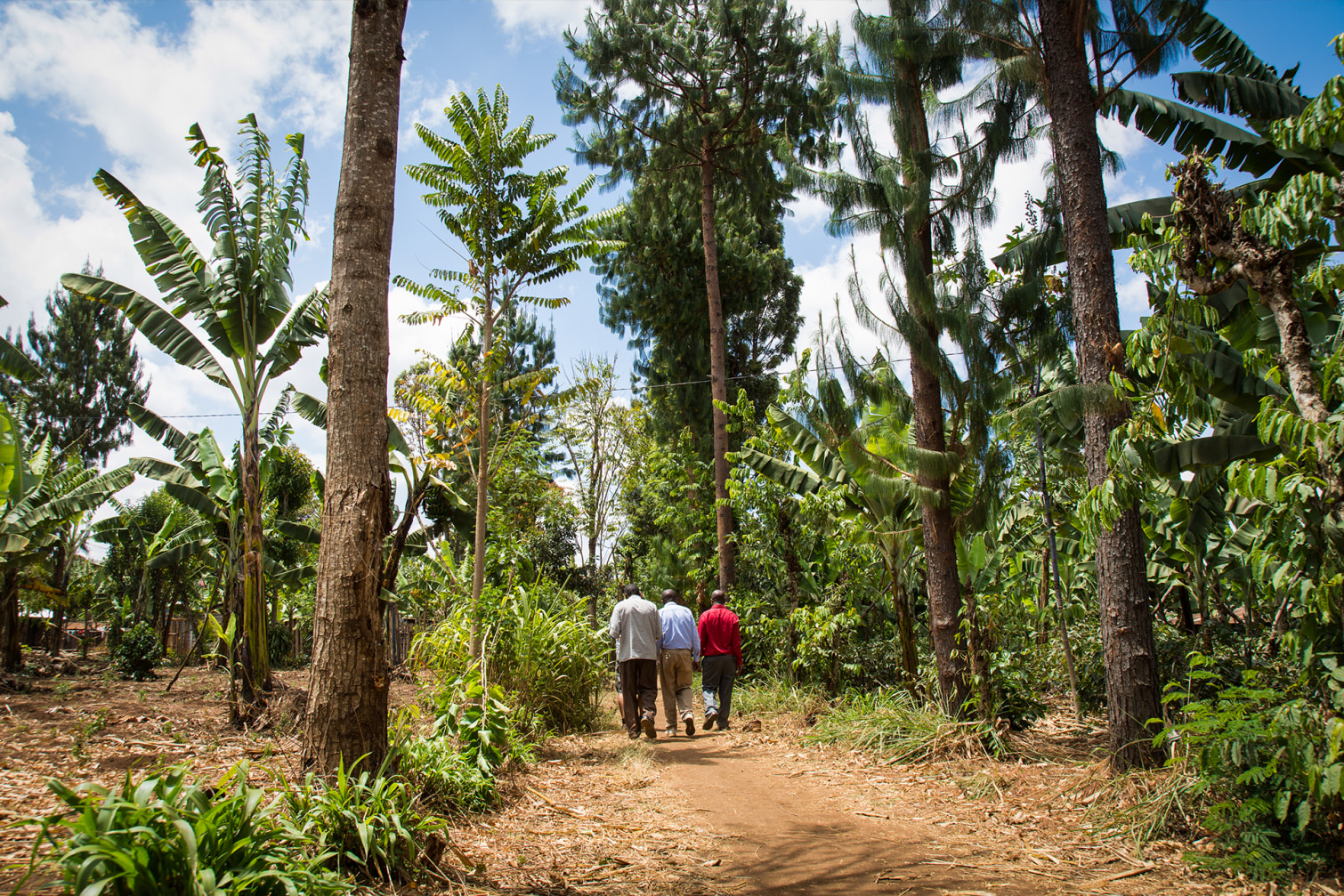Treedom x LuisaViaRoma - 11