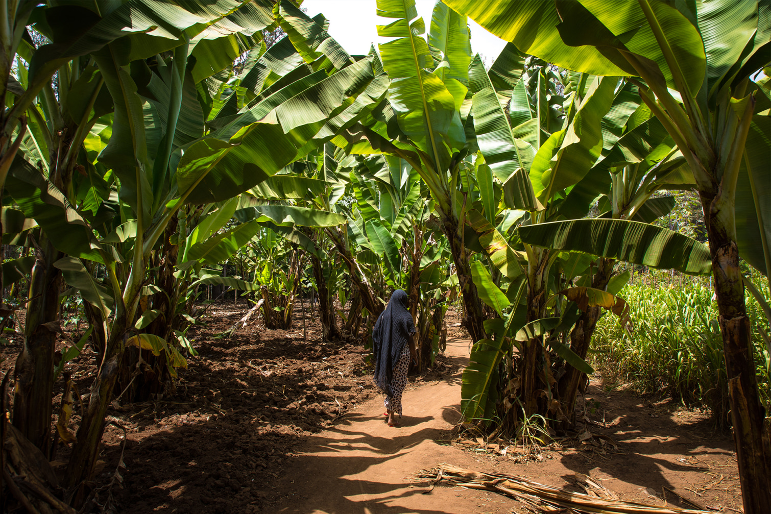 Treedom x LuisaViaRoma - 2