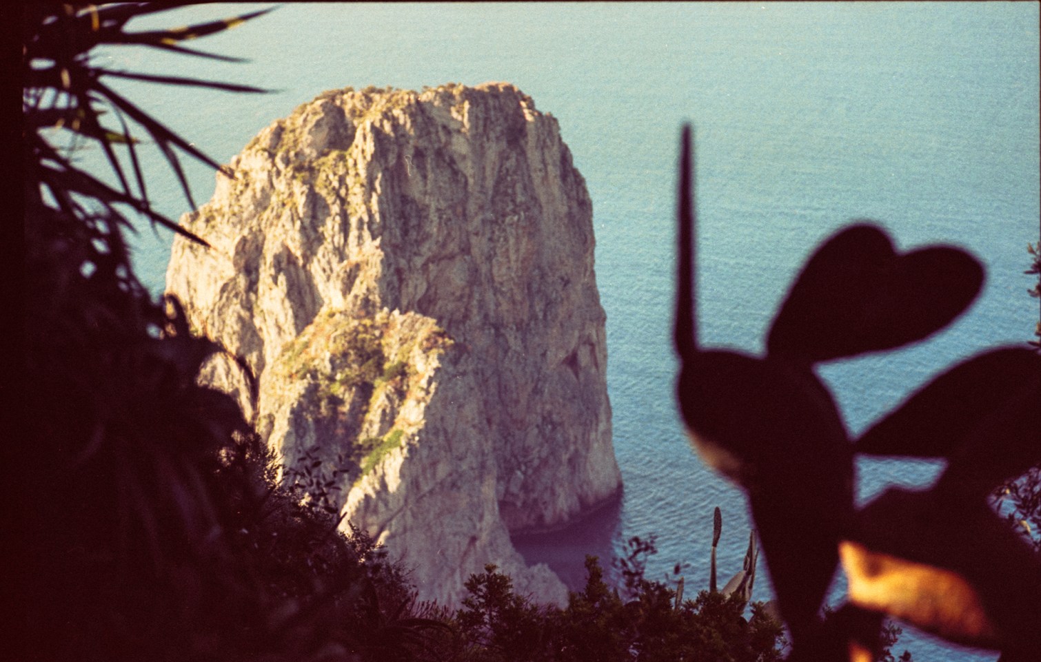 LuisaViaRoma in Capri - 5