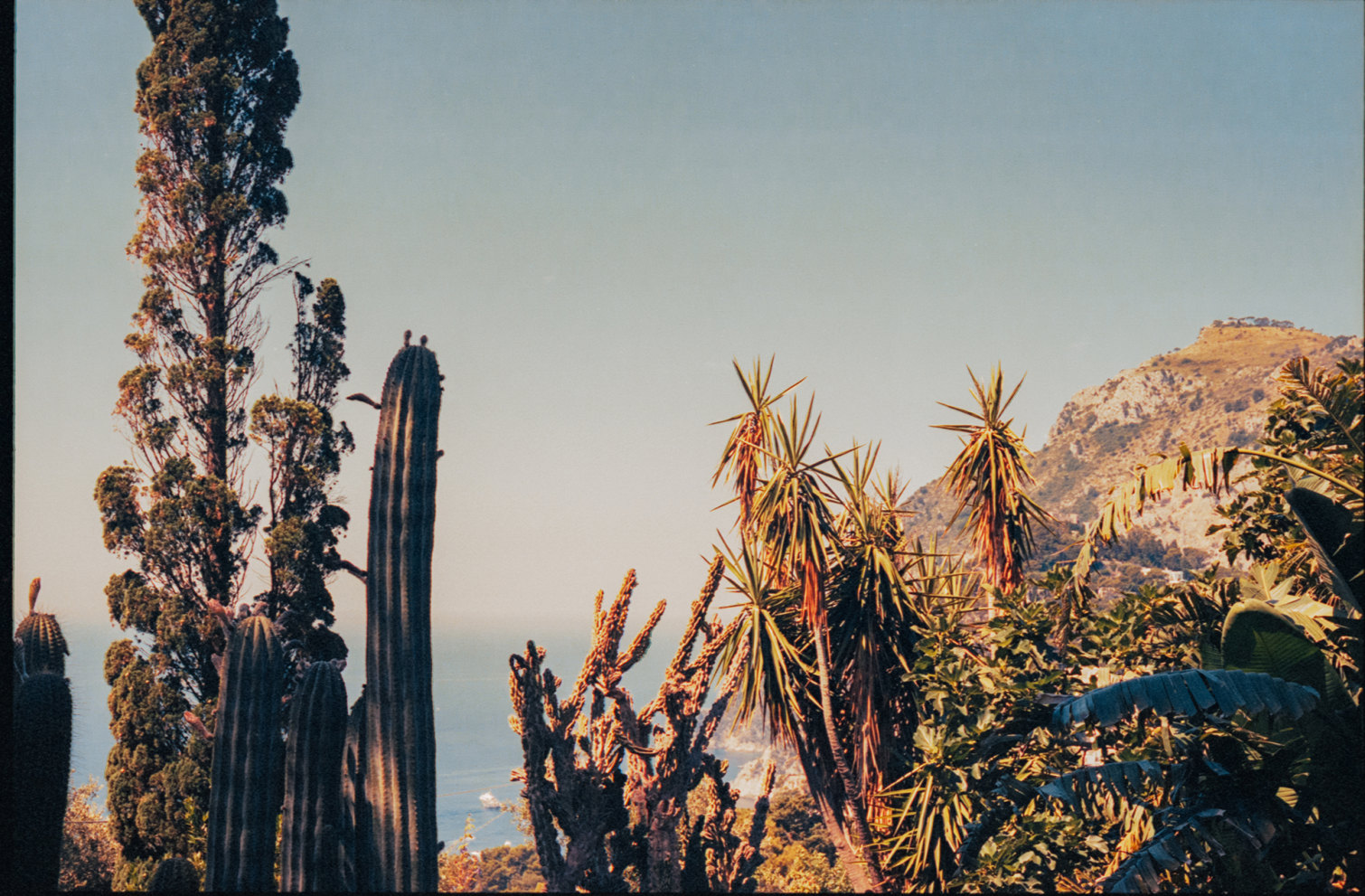 LuisaViaRoma in Capri - 6