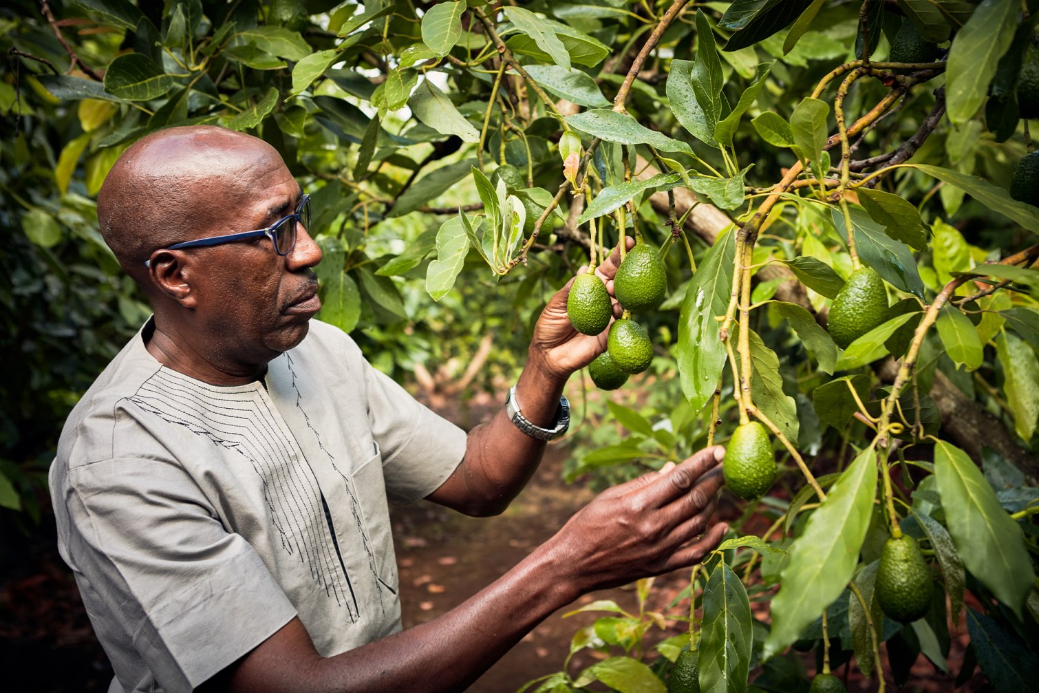 Treedom x LuisaViaRoma - 9