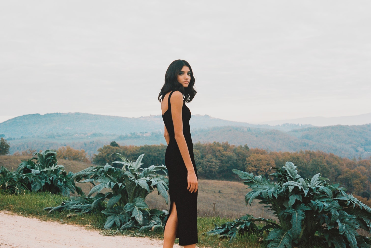 Zoom sur le PE 21 - 3