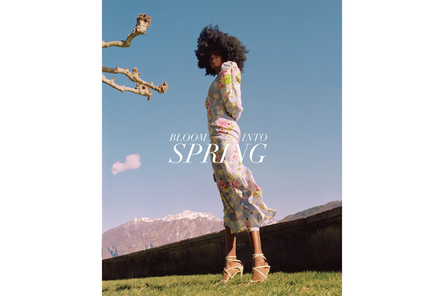 Bloom into Spring - 1