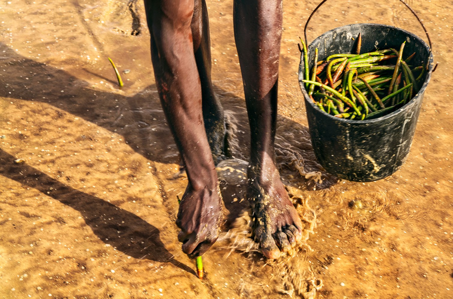 LuisaViaRoma & LVRSustainable’s #myEIB: Senegal - 3