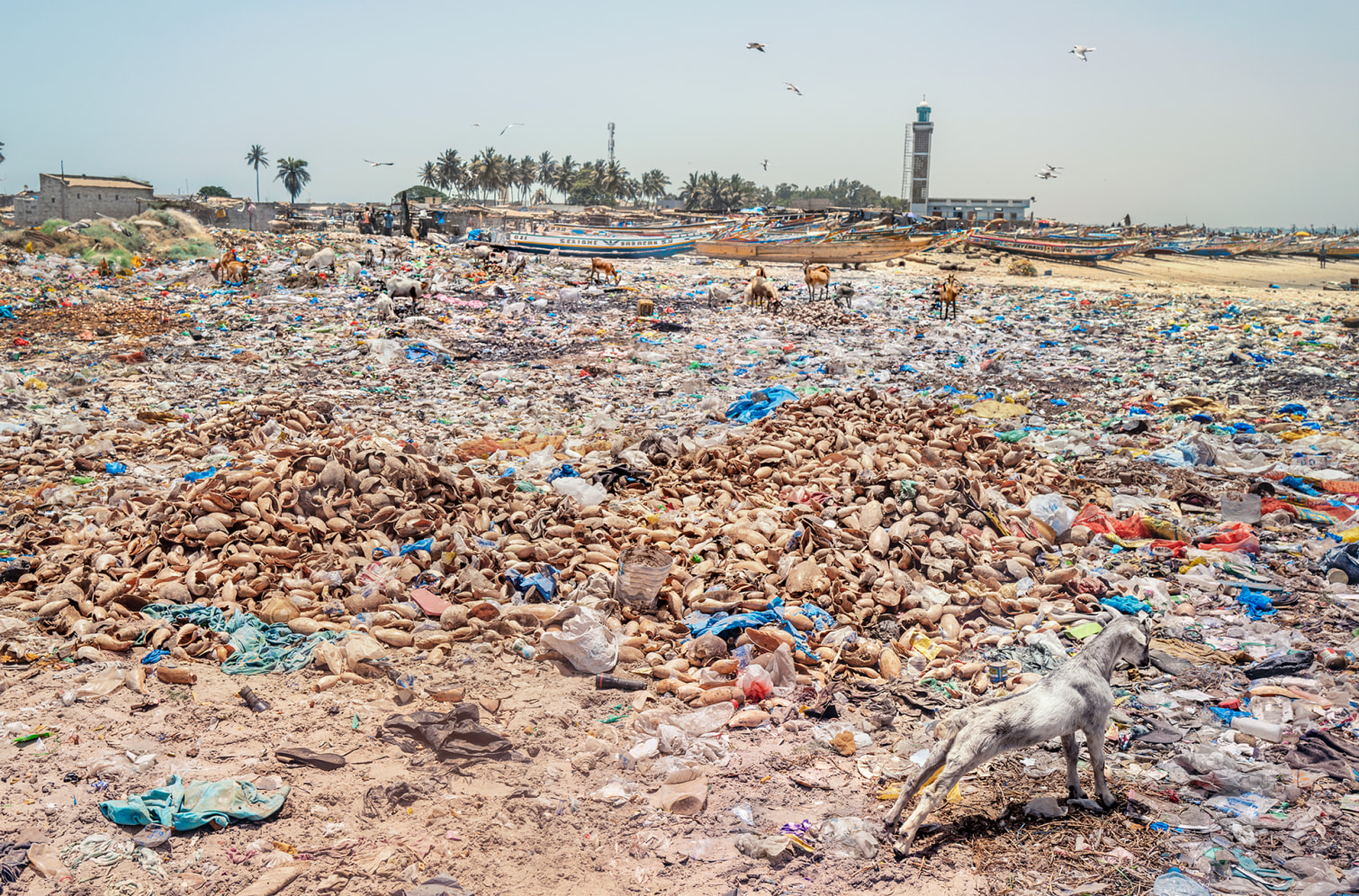 LuisaViaRoma & LVRSustainable’s #myEIB: Senegal - 5