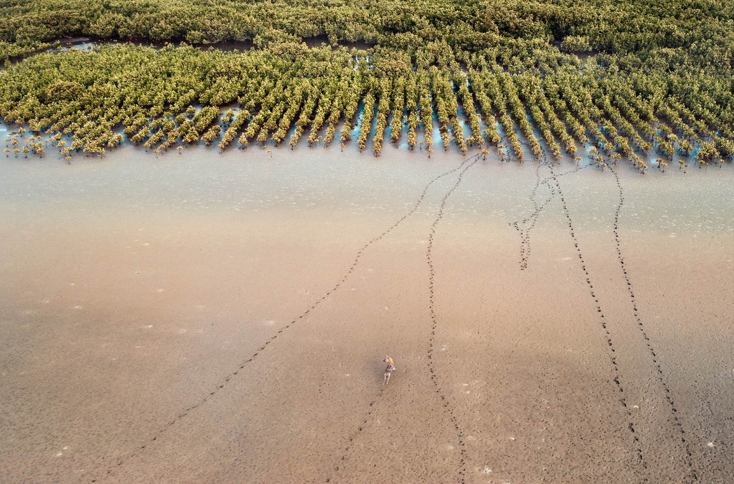 LuisaViaRoma & LVRSustainable’s #myEIB: Senegal - 7