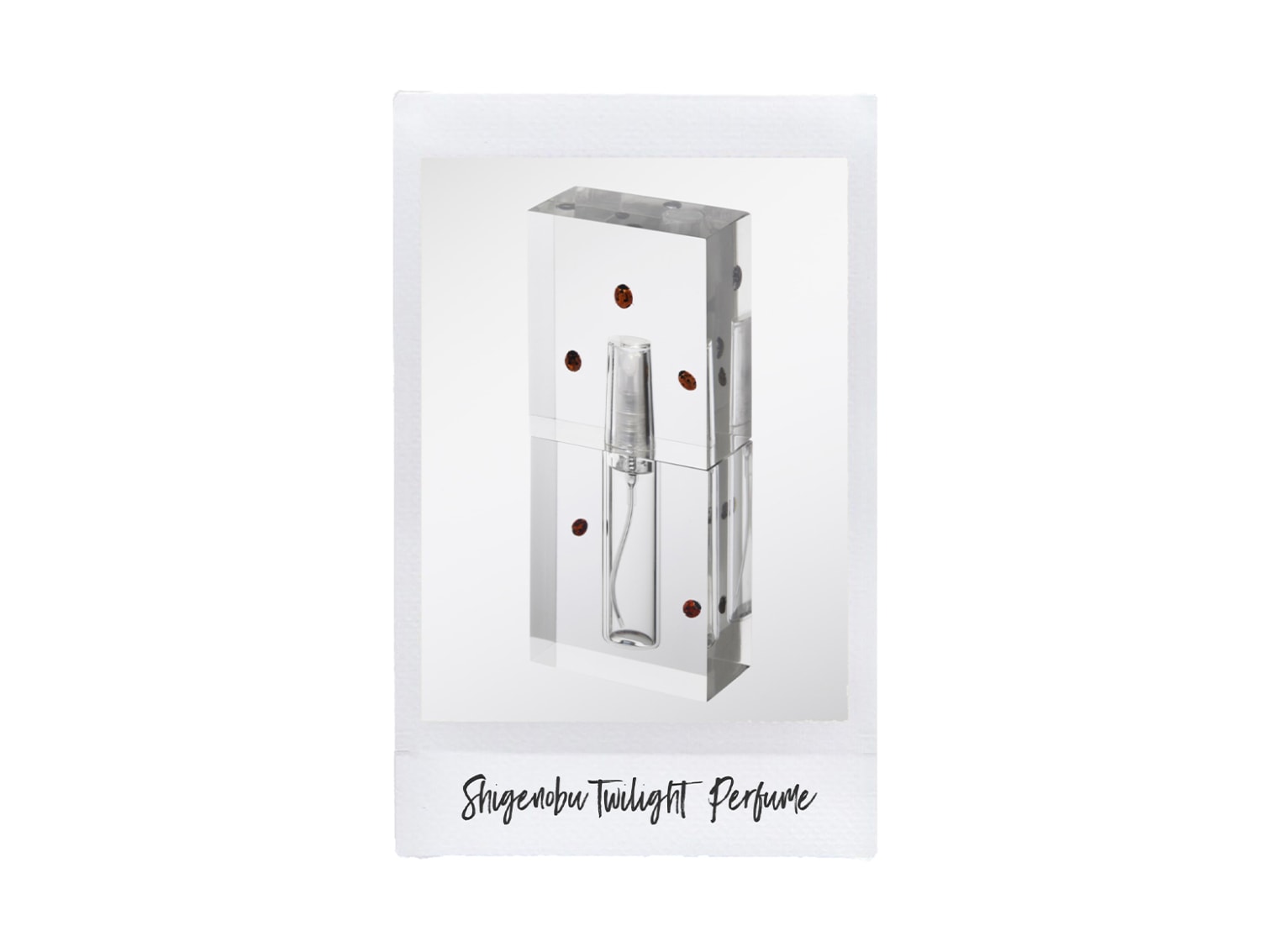 Tastemakers’ Holiday Wish List - 5-prodotti