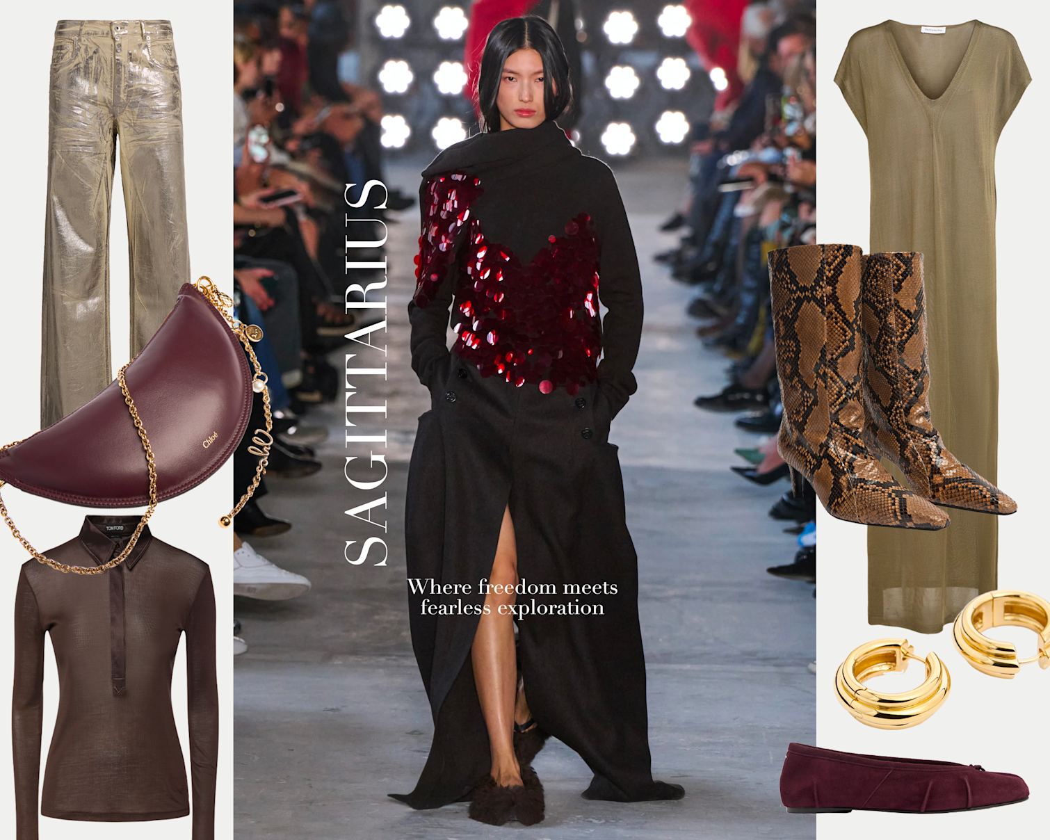 Sagittarius Horoscope 2025 - SAGITTARIUS DIARY